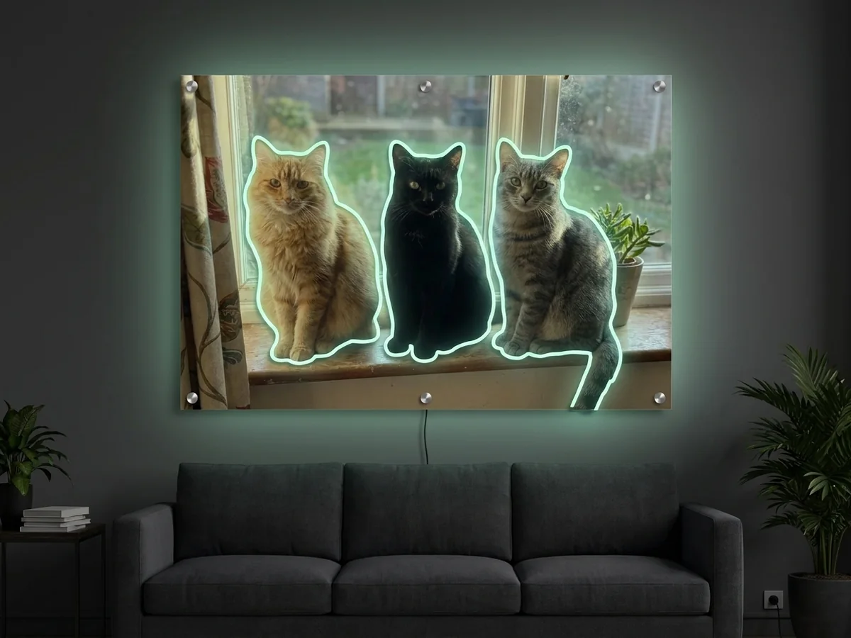 3匹の猫の写真からつくるLEDネオンアート「猫3匹 写真プリント」